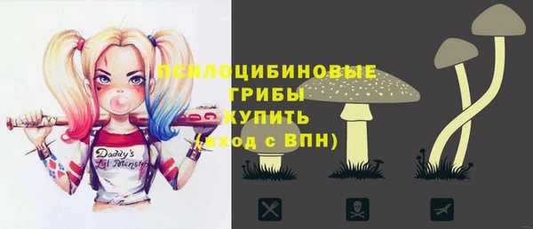 ПСИЛОЦИБИНОВЫЕ ГРИБЫ Нея